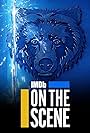 The Bear (2024)